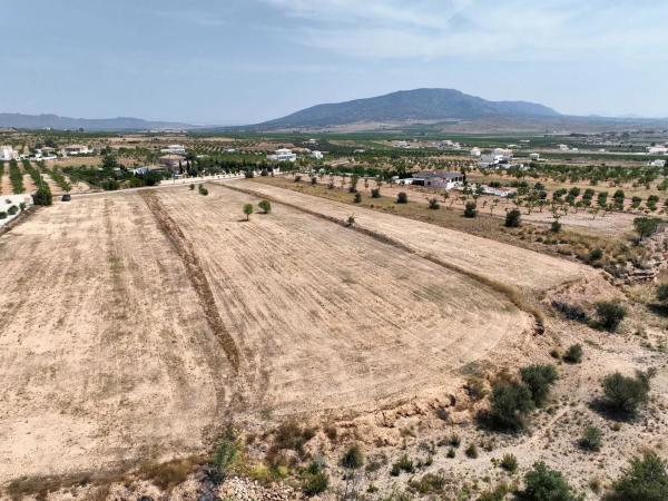 Terreno en carretera de Raspay al Paredon, 24