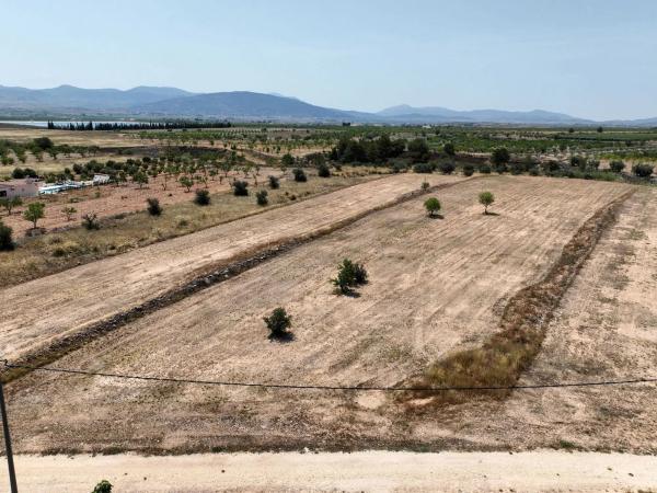 Terreno en carretera de Raspay al Paredon, 24