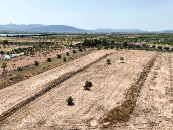 Terreno en carretera de Raspay al Paredon, 24