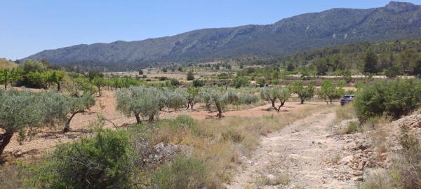 Terreno en calle la Romana