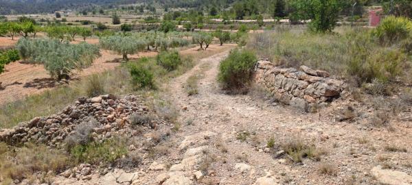 Terreno en calle la Romana