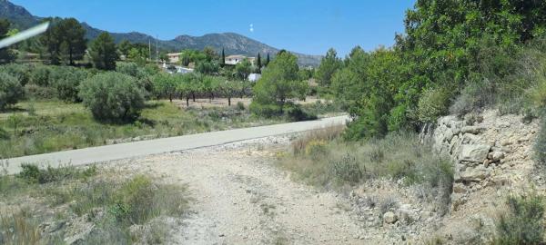 Terreno en calle la Romana
