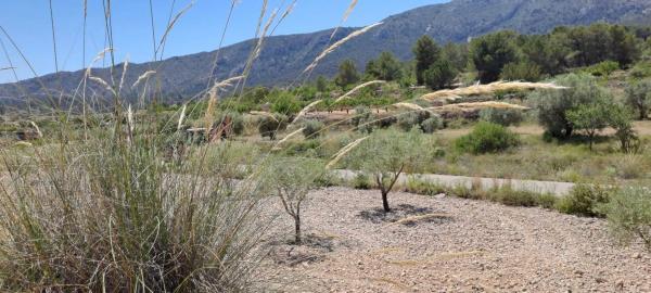 Terreno en calle la Romana