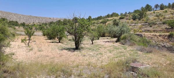 Terreno en calle la Romana