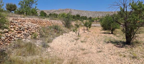 Terreno en calle la Romana