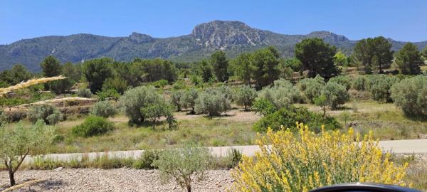 Terreno en calle la Romana