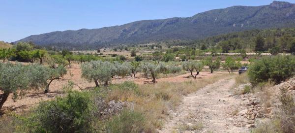 Terreno en calle la Romana