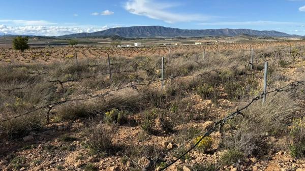 Terreno en paseo de la Constitución, 25