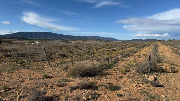 Terreno en paseo de la Constitución, 25
