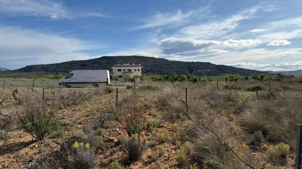 Terreno en paseo de la Constitución, 25