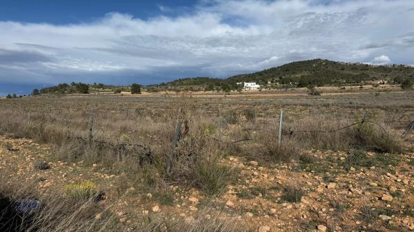 Terreno en paseo de la Constitución, 25