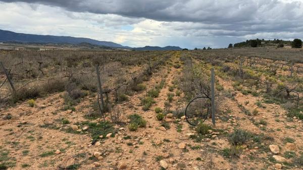 Terreno en paseo de la Constitución, 25