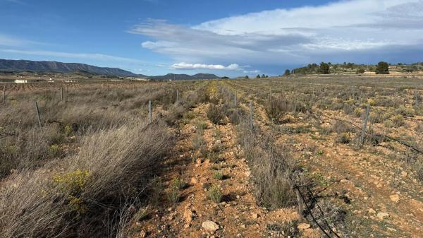 Terreno en paseo de la Constitución, 25