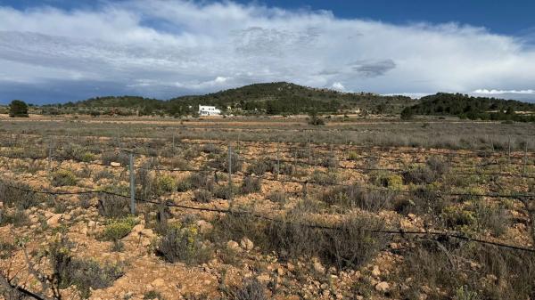 Terreno en paseo de la Constitución, 25
