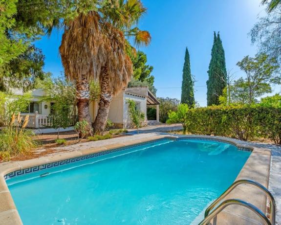 Casa independiente en camino Alamico s/n