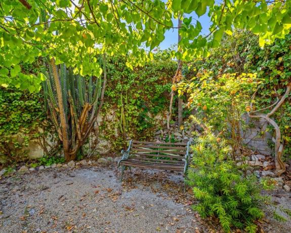 Casa independiente en camino Alamico s/n