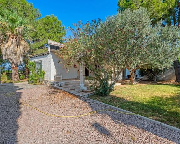 Casa independiente en camino Alamico s/n