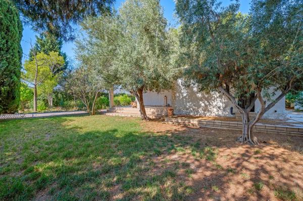 Chalet en Partida Camino Alamico, 998