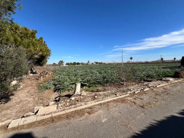 Casa independiente en calle Argentina