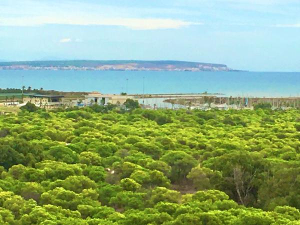 Piso en calle Celestino Verdú