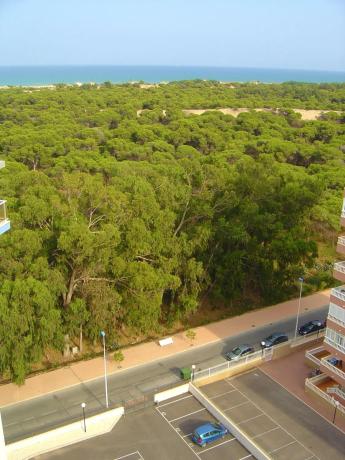 Piso en calle Celestino Verdú