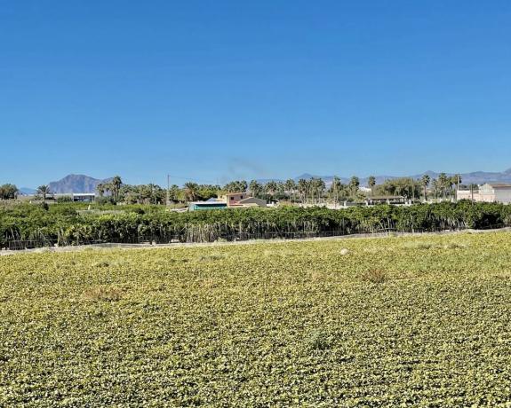Casa independiente en Paraje de La Huerta 03140