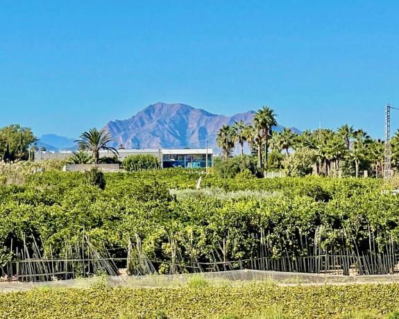 Casa independiente en Paraje de La Huerta 03140