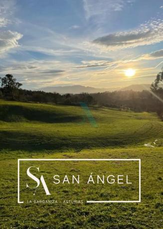 Casa o chalet independiente en venta en calle La Barganiza, 403