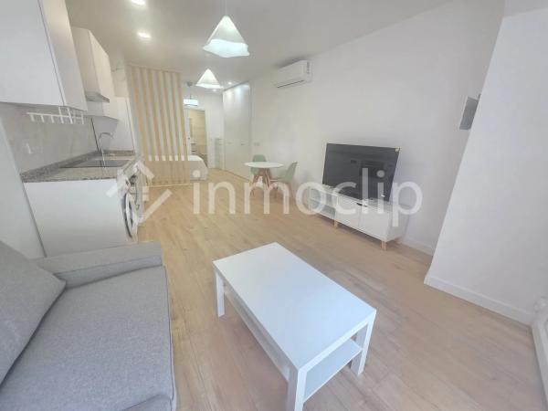 Piso en venta en avenida Vicente del Bosque, 44