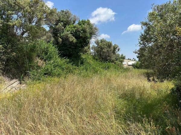 Casa o chalet independiente en venta en calle de L'Albiol, 2