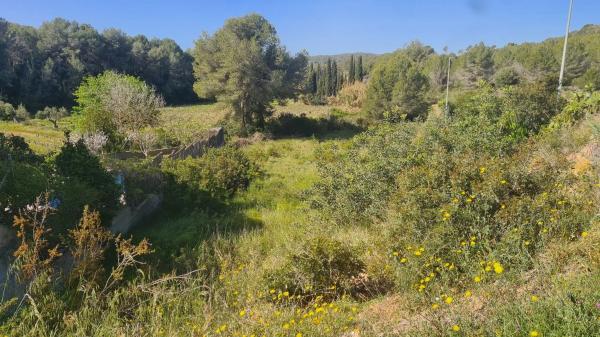 Casa o chalet independiente en venta en calle Rosa, 97