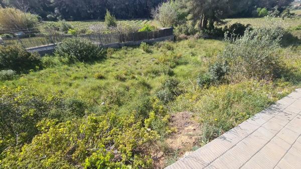 Casa o chalet independiente en venta en calle Rosa, 97