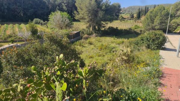 Casa o chalet independiente en venta en calle Rosa, 97