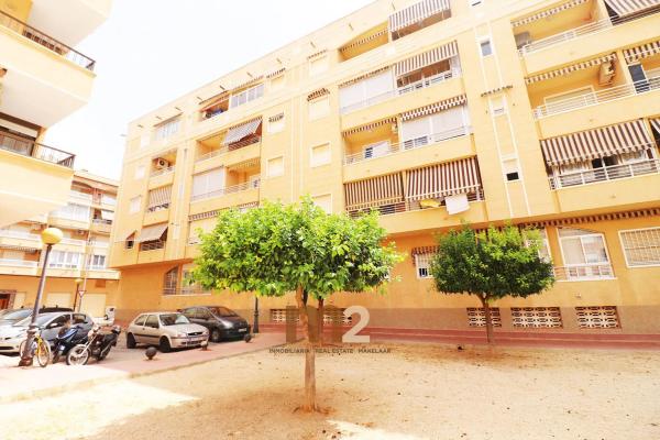 Piso en calle Dolores Viudes Blasco