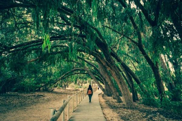 Chalet en Los Montesinos