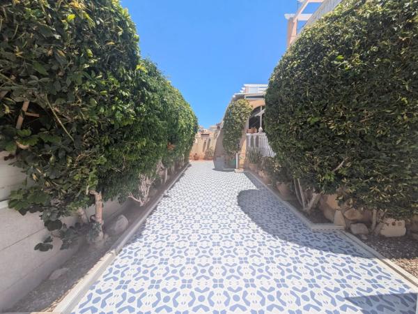 Chalet pareado en calle Limón s/n