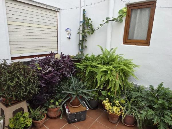 Piso en calle San Miguel de Salinas