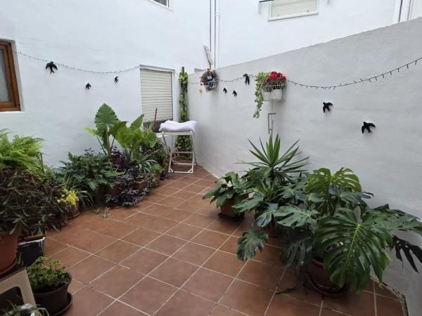 Piso en calle San Miguel de Salinas