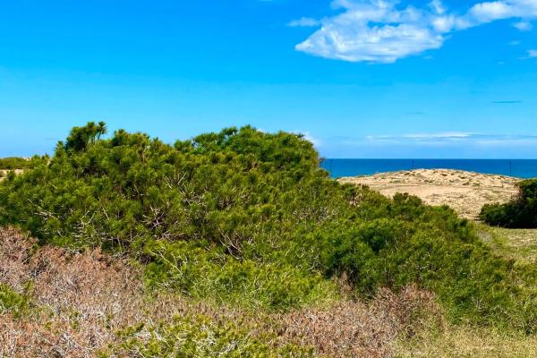 Piso en Barrio Gaspar Perrelló