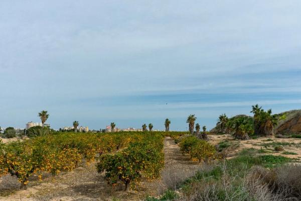 Casa independiente en calle Veleta