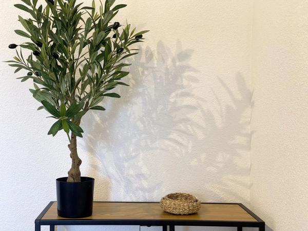 Dúplex en calle los Gases