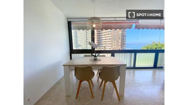Apartamento de 1 dormitorio en alquiler en Alicante