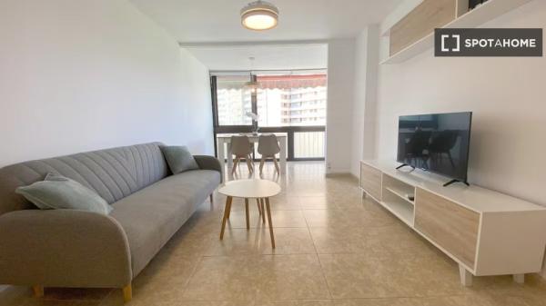 Apartamento de 1 dormitorio en alquiler en Alicante