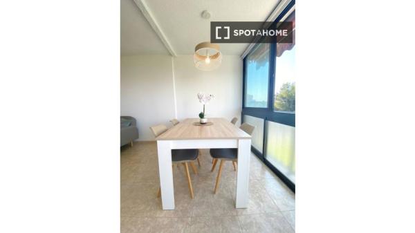 Apartamento de 1 dormitorio en alquiler en Alicante