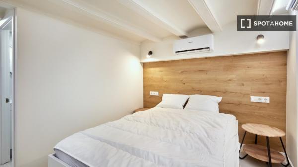 Estudio en alquiler en El Raval, Barcelona