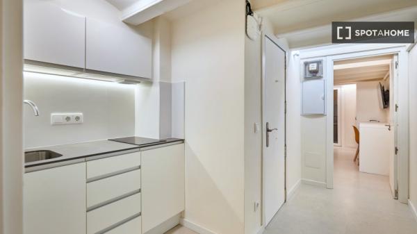 Estudio en alquiler en El Raval, Barcelona