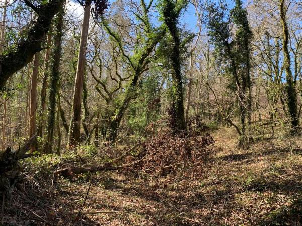 Terreno en camino Sen Nome s/n