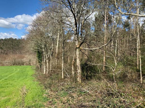 Terreno en camino Sen Nome s/n