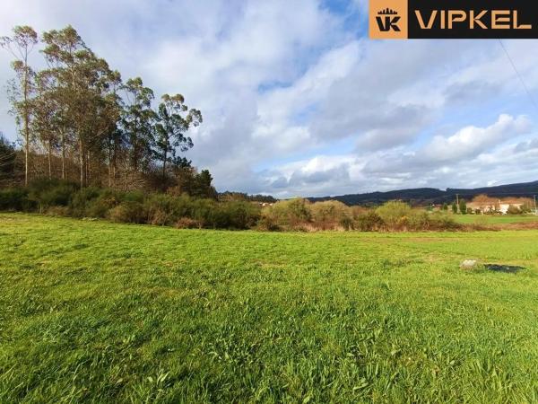 Terreno en San Vicenzo