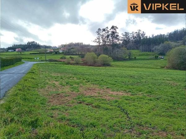 Terreno en San Vicenzo